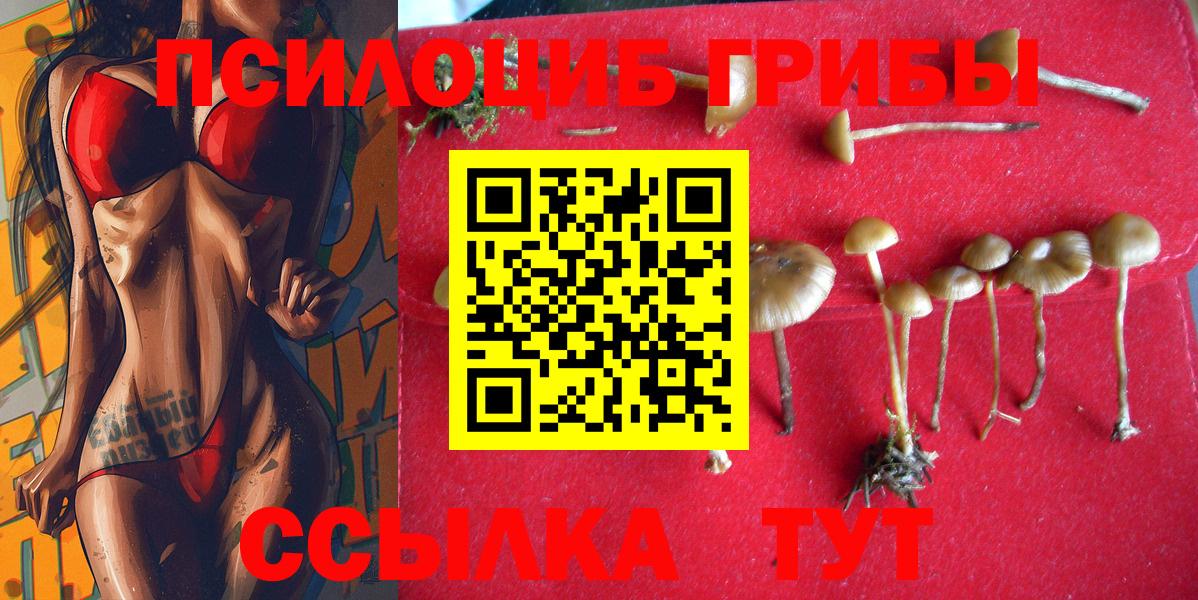 Каменка  Псилоцибиновые грибы ЛСД  Вход с VPN 