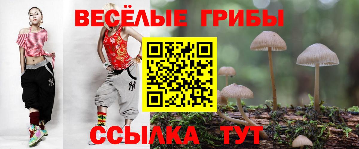 Псилоцибиновые грибы MAGIC MUSHROOMS Каменка